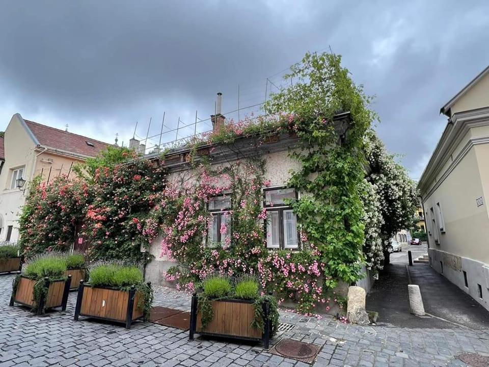 Downtown Romantic Alba Regalǎ Exterior foto
